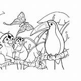 Coloring Rainforest Pages Amazon Kids Tropical Animal Animals Forest Color South America Drawing Printable Printouts Simple Jungle Island Clipart Birds sketch template