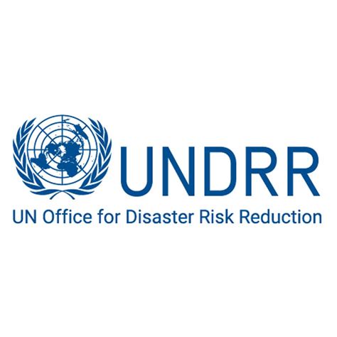 disaster risk reduction capacity building consultant  somalia
