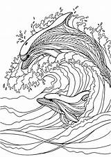 Dolphins Adults Coloriage Mandala Eckersleys Zentangle Craze Tinta sketch template