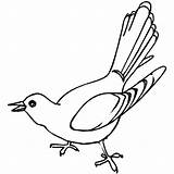 Cuckoo Bird Coloring Singing Pages Drawing Getdrawings Found Sheet sketch template