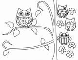 Coloring Owl Pages Cute Popular Owls Adult sketch template