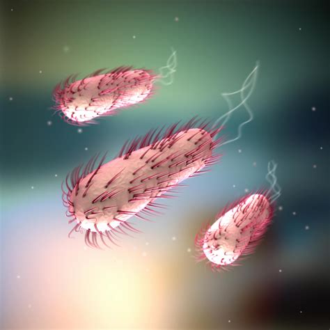 pathogene bakterien im detail institut allergosan