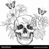 Skull Butterfly Flowers Vector sketch template