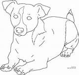 Jack Russel Terriers sketch template