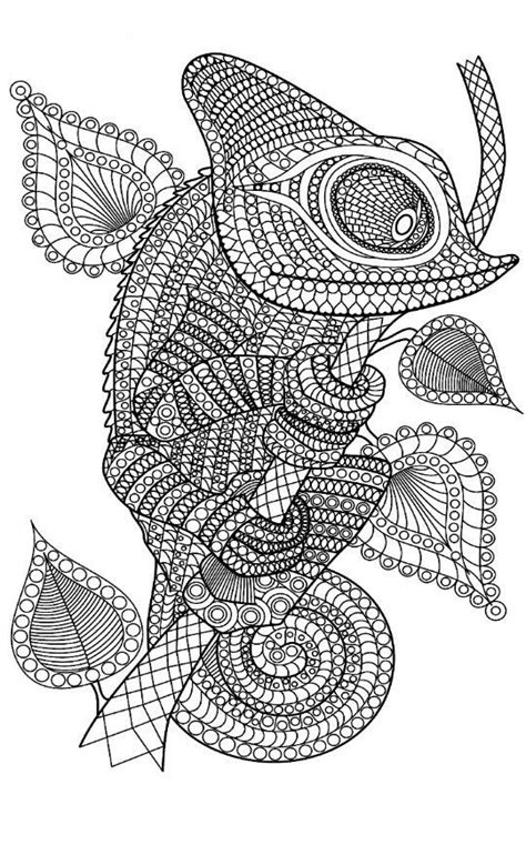 animal patterns coloring pages
