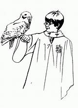 Potter Harry Coloring Pages Kids Printable sketch template