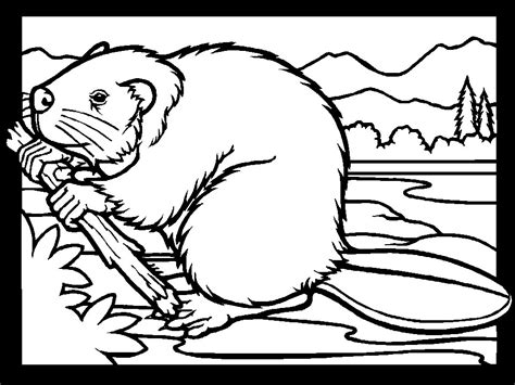 animal print coloring page coloring home
