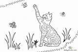 Malvorlage Katze Ausmalen Katzchen Wiese Malvorlagan Umriss Katzenpfote sketch template