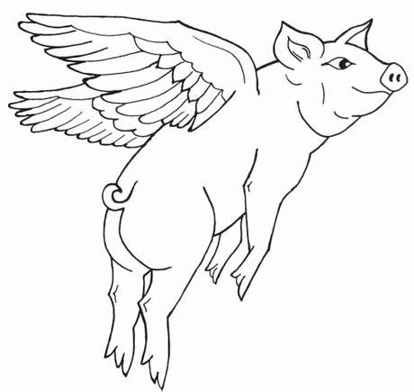 elegant flying pig coloring pages paperblog