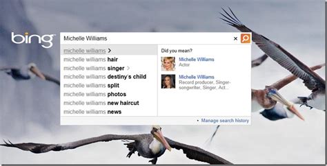 Bing Adds People Autosuggest Find Celebrities