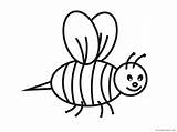 Bee Coloring4free Bees Nests sketch template