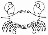 Crab Mewarnai Kepiting Crabe Crabes Animaux Coloriages Granchio Krab Kolorowanki Dzieci Cangrejos Coloradisegni Tk Paud Crustacean Ikan Berbagai Macam Udang sketch template