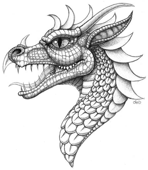 pin  karin van iersel  kleurplaten dragon drawing dragon