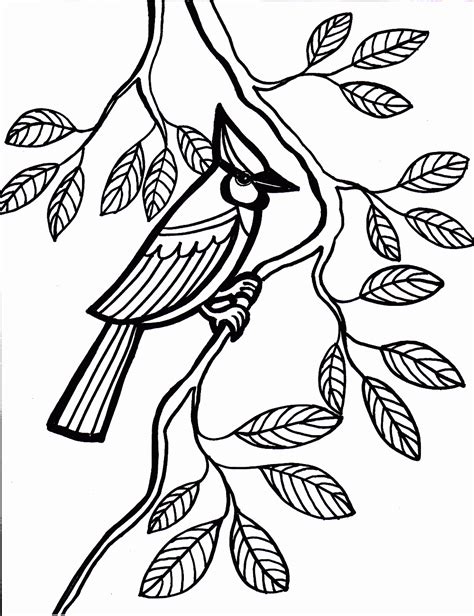 printable bird coloring pages