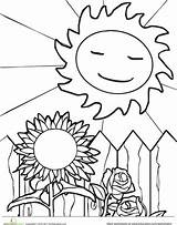 Sunny Coloring Pages Weather Seasons Four Sun Season Getcolorings Sunflower Worksheets Color Getdrawings Worksheet Designlooter Printable Template Colorings Drawings 382px sketch template