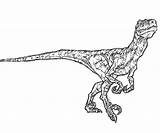 Jurassic Dinosaur Raptor Velociraptor Jurassique Dilophosaurus Parc Dinosaurier Baby Dinossauro Indominus Kleurplaat Coloriages Euoplocephalus Dinosaurs Gratuit Colorindo Ausmalen Dinosaurios Tatuagem sketch template