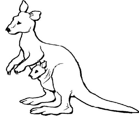 coloring page kangaroo  wallpaper