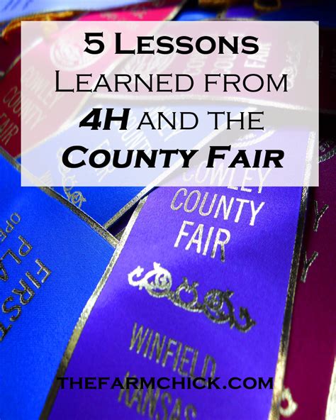 lessons learned     county fair