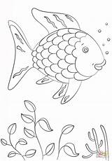 Fish Rainbow Coloring Pages Book Supercoloring sketch template