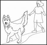Husky Hond Kennel Siberian Siberische sketch template