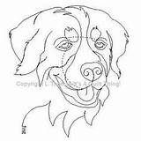Berner Bernese Sennenhund Sennen Gatti Dogs Hunde Upwards Cani Malvorlage Bernersennen Tatoo sketch template