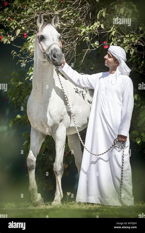 man standing  horse  res stock photography  images alamy