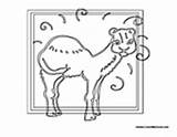 Camel Hump sketch template