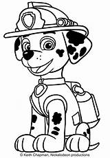 Paw Patrol Marshall Coloring Pages Printable Print Drawing Pdf Colouring Color Kids Thanksgiving Cartonionline Getcolorings Getdrawings sketch template