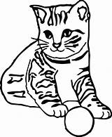 Cat Coloring Animal Wecoloringpage Pages sketch template