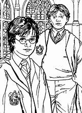 Potter Adultos Ron Harrypotter Voldemort 1001 sketch template