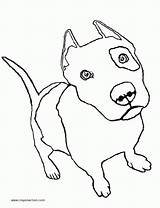 Coloring Pitbull Pages Puppies Popular sketch template