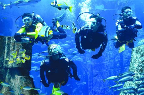 scuba diving  dubai skydive dubai price