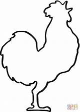 Outline Rooster Drawing Getdrawings Coloring sketch template