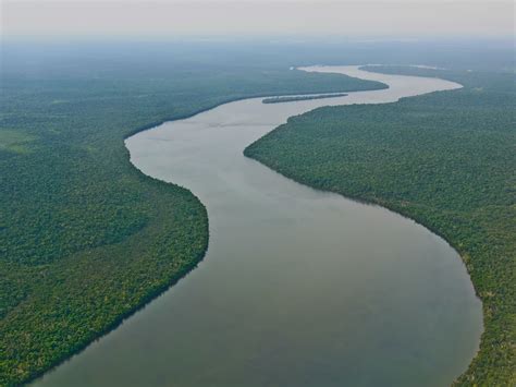 rio amazonas brasil sudamerica selva wallpapers hd desktop  mobile backgrounds