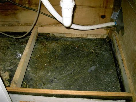 mold  sink plumbing diy home improvement diychatroom