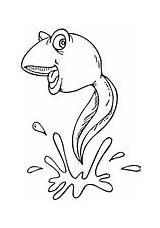 Tadpole Coloring Pages Water Printable Color Frog Conservation Drawing Online Supercoloring Para Sleepover Colouring Print Getcolorings Getdrawings Version Click Popular sketch template