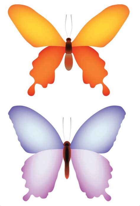 butterfly template     butterfly template