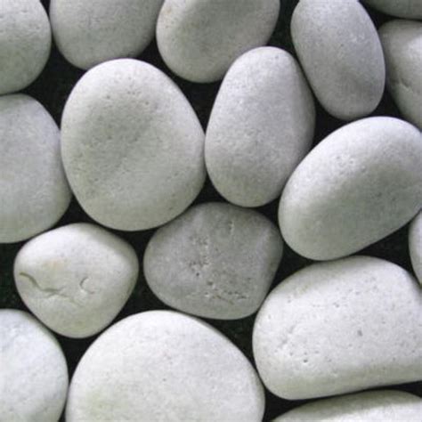 buy big pebbles white   cheap price  plantsgurucom
