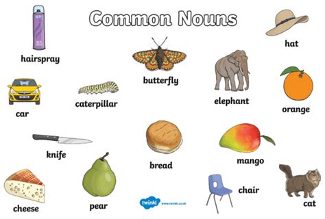common noun grammar twinkl teaching wiki