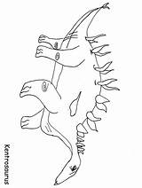 Kentrosaurus Maiasaura 55kg Frogs Coloringpagebook sketch template