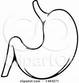 Stomach Clipart Vector Human Drawing Clip Illustration Royalty Tradition Sm Getdrawings sketch template