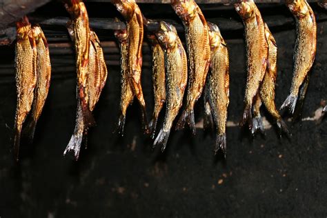 smoked fish  photo  freeimages