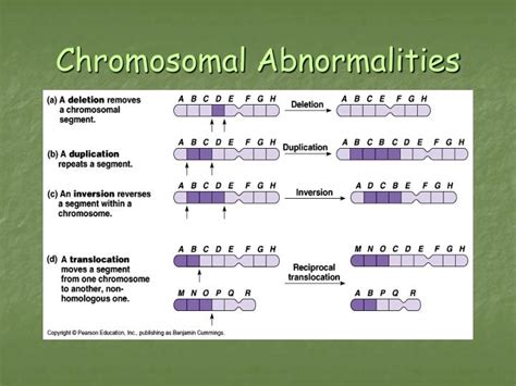 ppt genetic disorders powerpoint presentation id 6387428