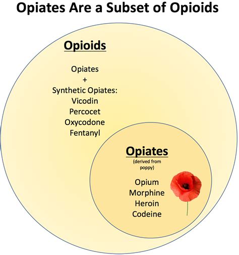 opioids vs opiates what are they what is the difference matclinics
