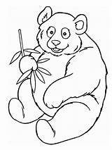 Panda Kleurplaat Pandabeer Oso Leukekleurplaten Dibujosparaimprimir Kleurplaten Pandabear Unicornio Localement Leuke één Panada sketch template
