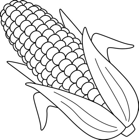 corn fruit isolated coloring page  kids  vector art  vecteezy