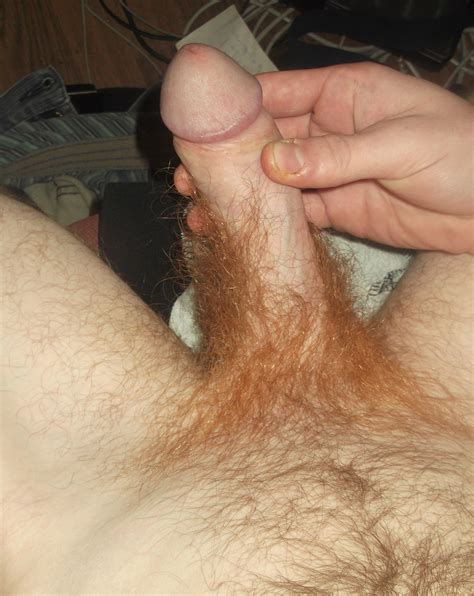 fdscf2578 in gallery my hairy dick from trimmed to hairy ginger pubes up my cock sh