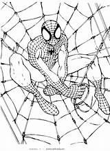 Coloring Spiderman Pages Spider Getcolorings Color Printable Colorier sketch template