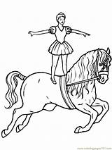 Circus Horse Animals Coloring Printable Pages Color sketch template