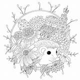 Illustrazione Volwassenen Bloemen Boek Adulti Sforzo Istrice Fiori sketch template